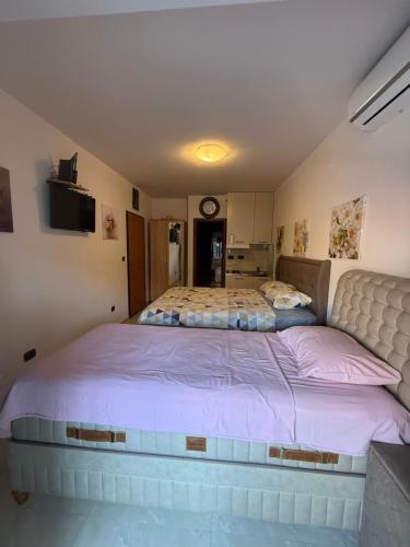 Postel nebo postele na pokoji v ubytování Apartman Dejan Rafailovici