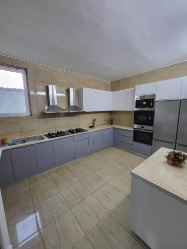 Una cocina o cocineta en Danube Home