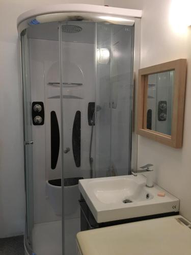 La salle de bains est pourvue d'une douche et d'un lavabo blanc. dans l'établissement Hibiscus, à Alzonne