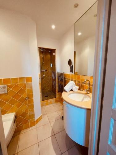 une salle de bain avec un lavabo, une douche et des toilettes dans l'établissement Appartement les pieds dans l eau, à Grimaud