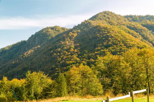 a mountain covered in trees with a fence in the foreground at Agriturismo Pian dei Tass in Barcis