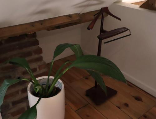 a plant in a white pot sitting on a floor at Bakhuisje Peer in Peer