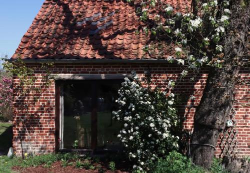 a brick building with a window and a tree at Bakhuisje Peer in Peer