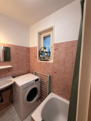 une salle de bain avec une machine à laver et un lavabo dans l'établissement Charming room apartment in a great location, à Thonon-les-Bains