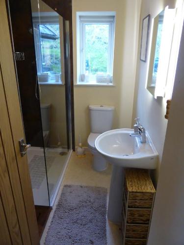a bathroom with a sink and a shower and a toilet at Isfryn Cottage in Aberangell