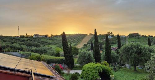 a sunset over a vineyard with trees and a house at Sunnyhill Home in Monterotondo