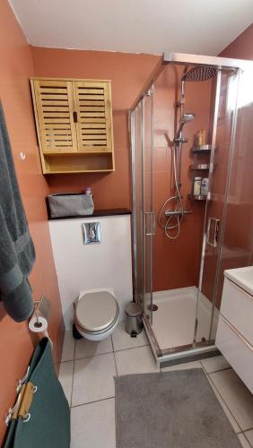 La salle de bains est pourvue de toilettes et d'une douche. dans l'établissement Studio F1 avec jardin, proche du Palais des festivals et des plages, à Cannes