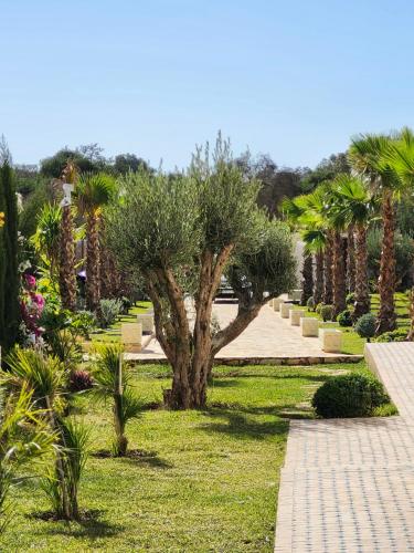 a park with a tree and grass and palm trees at Riad Tammam in Essaouira