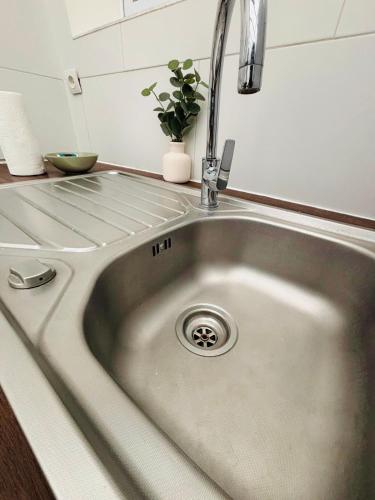 - un évier de cuisine avec un robinet et une plante dans l'établissement Appartement Foch Champs Élysée, à Paris