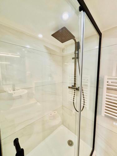une douche avec une porte vitrée dans une salle de bain dans l'établissement Studio Penthievre Champs Elysée, à Paris