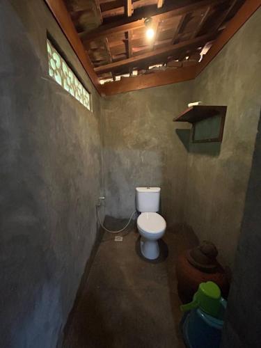 a small bathroom with a toilet and a window at Parlezo Cottage Dintor in Ntuar