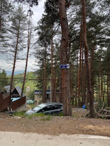 Příroda nedaleko hotelu