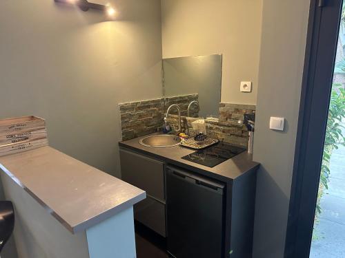 une petite cuisine avec un évier et un comptoir dans l'établissement Studio avec jardin Route des sanguinaires Barbicaja, à Ajaccio