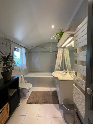 une salle de bain avec une baignoire, des toilettes et un lavabo dans l'établissement Appartement dans maison de ville, proche stade de France et Salon du Bourget, à La Courneuve
