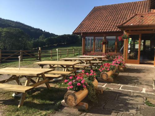 Ferme auberge des Cimes