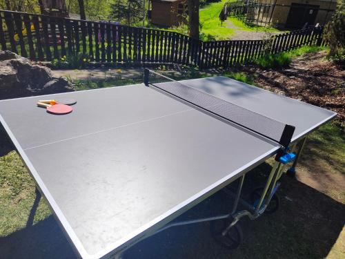 a ping pong table sitting in a yard with at Apartmá Gister ski and wellnes in Rokytnice nad Jizerou