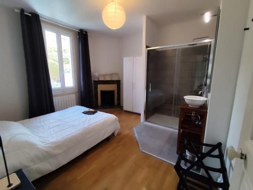 - une chambre avec un lit, une douche et un lavabo dans l'établissement Appartement le Sommet, à Argelès-Gazost