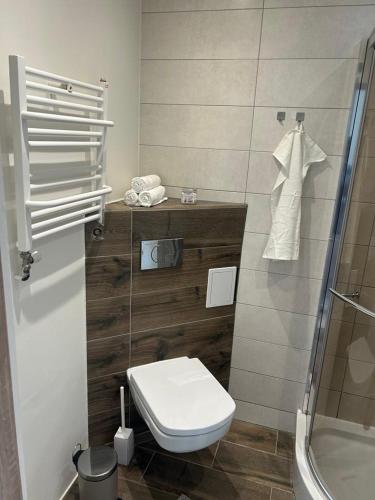 a bathroom with a toilet and a shower at Apartament Lazurowy in Puck