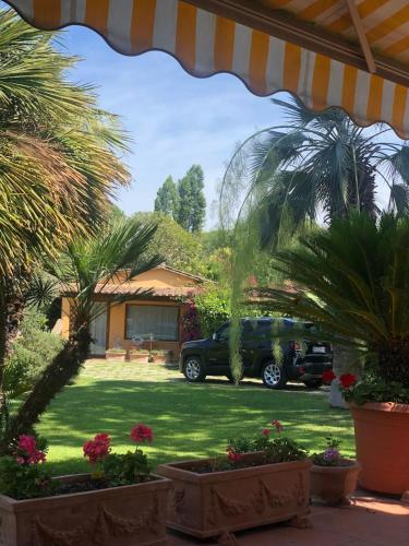 a car parked in a yard with palm trees at Green Cottage in Casal Palocco