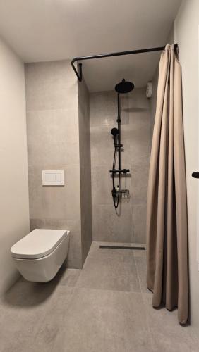 une salle de bain avec toilettes et douche dans l'établissement Calm and central leafy Laugardalur, à Reykjavik