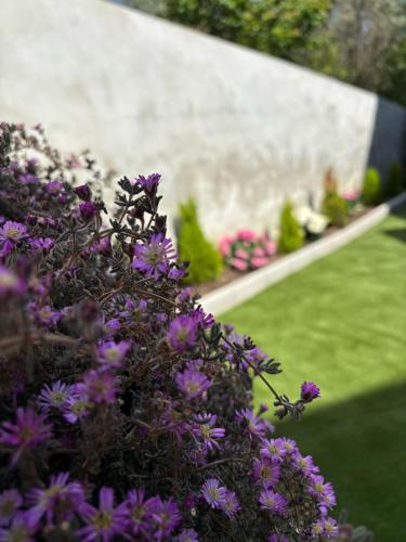 Un jardín fuera de B&B civico 19
