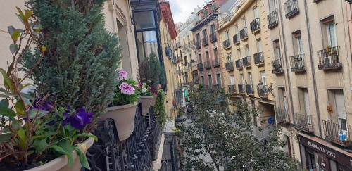 Hostal Las Fuentes