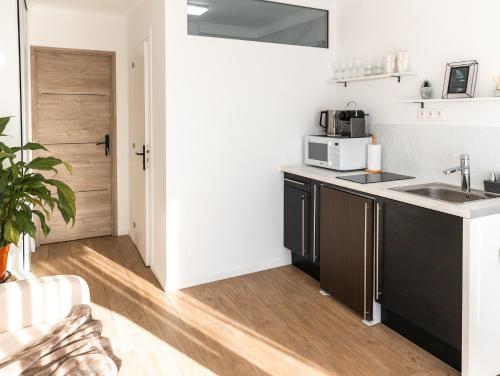 une cuisine avec un évier et un micro-ondes dans l'établissement Appartement avec climatisation, à 900 m de la plage, à Fréjus