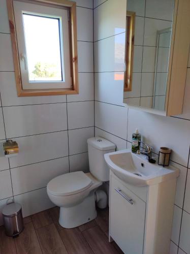 a bathroom with a toilet and a sink and a window at Malinówka Kruczy Borek in Kruczy Borek