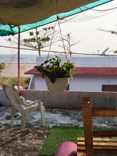 a patio with a chair and a potted plant at JeeHaa Homestay in Alleppey