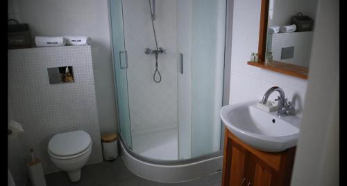 a bathroom with a shower and a toilet and a sink at Marina Jacht Szałkowo in Szałkowo