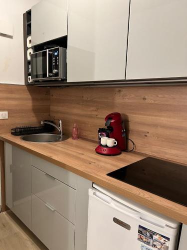 une cuisine avec un évier et un plan de travail dans l'établissement Juan-les-Pins 2 pièces avec parking & proches des plages, à Antibes