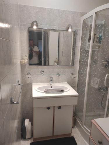 une salle de bain avec un lavabo et une douche dans l'établissement Appartement T3 centre ville, à Ajaccio