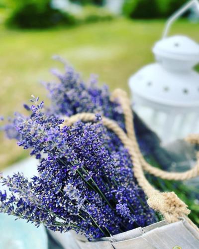 a bouquet of purple flowers in a basket at Lavender Village in Kiemeliai