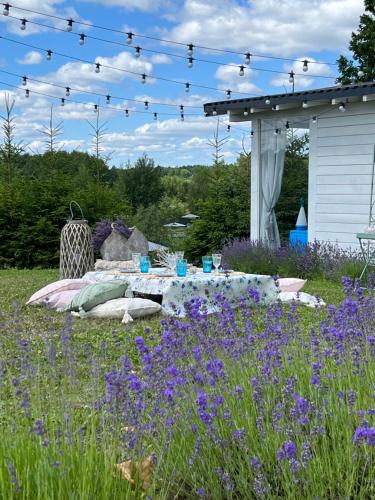 a picnic table in the middle of a field of purple flowers at Lavender Village in Kiemeliai