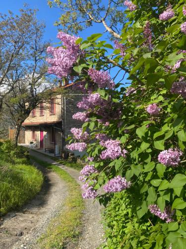 a tree with pink flowers in front of a house at La Lupa e l'Orso in Berceto