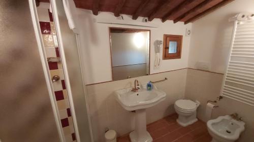 a bathroom with a sink and a toilet and a mirror at Agriturismo La Taverna in Sovicille