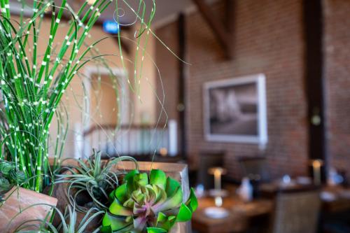 a vase with plants on a table in a room at Hotel Villa Tripaldi in Schönberg in Holstein