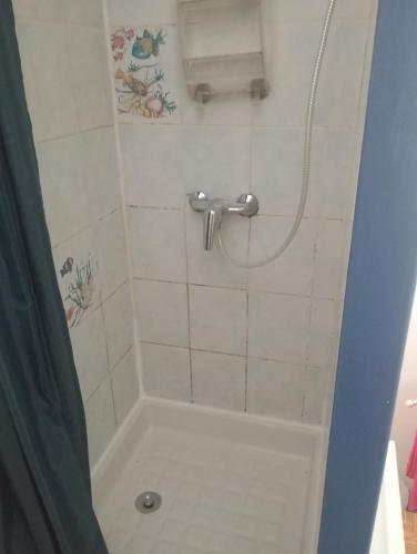 une douche avec un rideau de douche dans une salle de bain dans l'établissement elevage du plec, à Salaunes