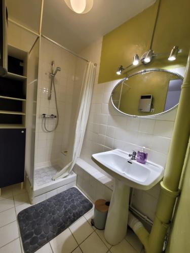 une salle de bain avec un lavabo, une douche et un miroir dans l'établissement Appartement convivial dans le centre ville de Béziers, à Béziers
