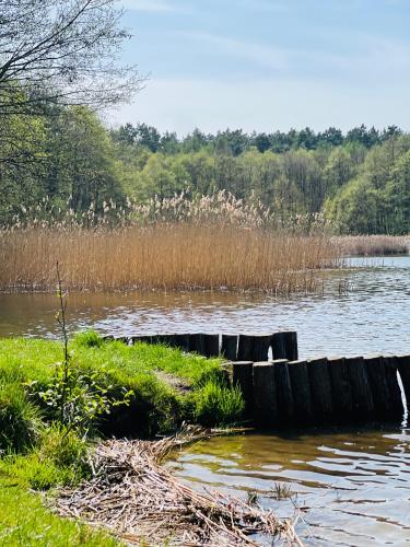 a body of water with grass and a field at Apartament Jerzyn in Jerzyn