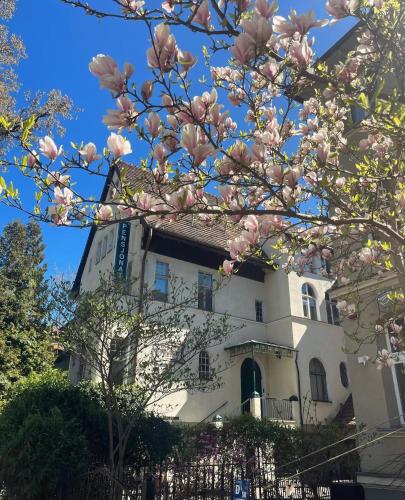 a magnolia tree in front of a building at Villa Irena in Sopot