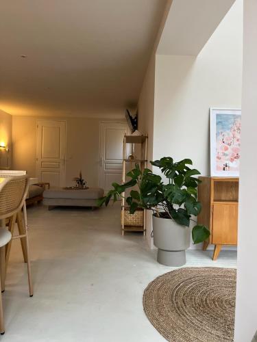 a living room with a potted plant on the floor at NOUS in Agel