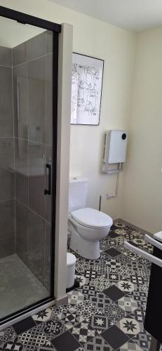 a bathroom with a toilet and a shower at Maison Paloumères in Ledeuix