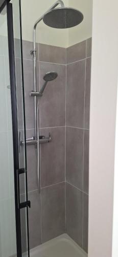 a shower with a glass door in a bathroom at Maison Paloumères in Ledeuix