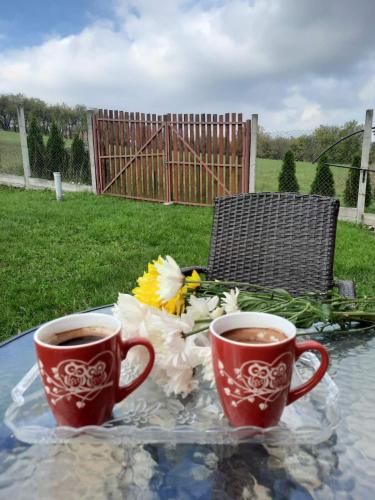 two cups of coffee on a glass table with flowers at Kremna Sunset in Kremna