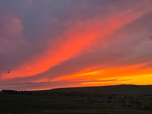 a sunset with a bird flying in the sky at Squealing Pig Bothy in Bragor