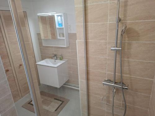 une salle de bain avec douche et lavabo dans l'établissement Parenthèse Marine - Roquille - Histoire de clés, au Cap d'Agde