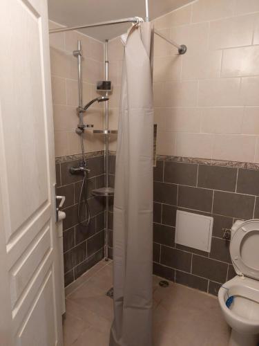 une salle de bain avec une douche avec des toilettes et un lavabo dans l'établissement Studio à louer sur Miramas, à Miramas