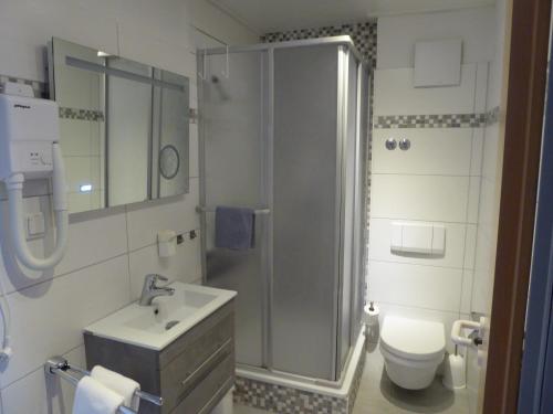 a bathroom with a shower and a sink and a toilet at Landhotel Auerose Garni in Neu Kosenow