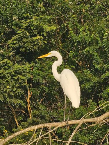 Gambar di galeri bagi Chácara Paraíso Verde - Com acesso a represa di Joanópolis